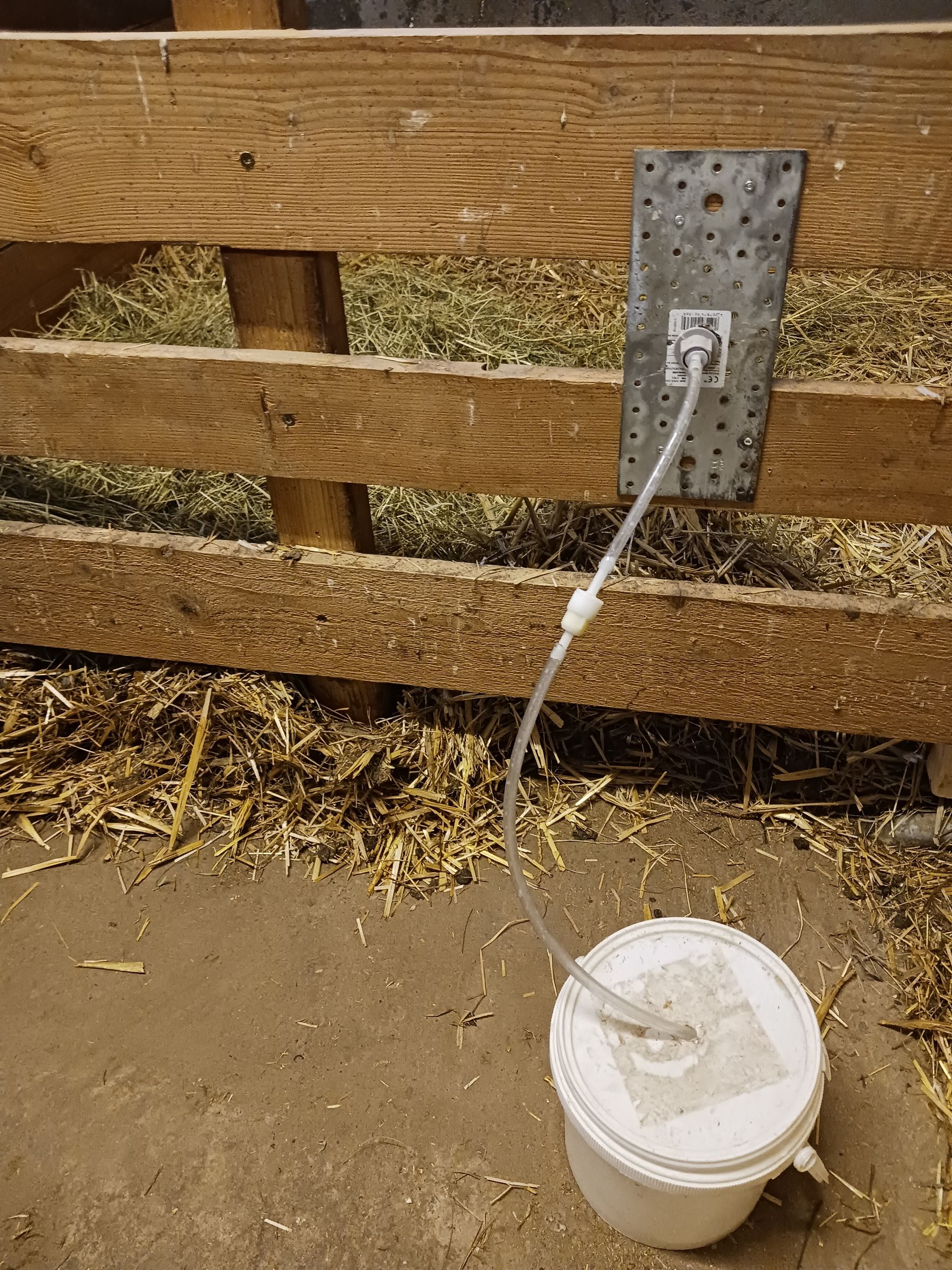 Eine günstige Methode der ad libitum Kaltränke ist eine Lamm Steirohrvorrichtung und ein Kübel mit Deckel.jpg © LK OÖ