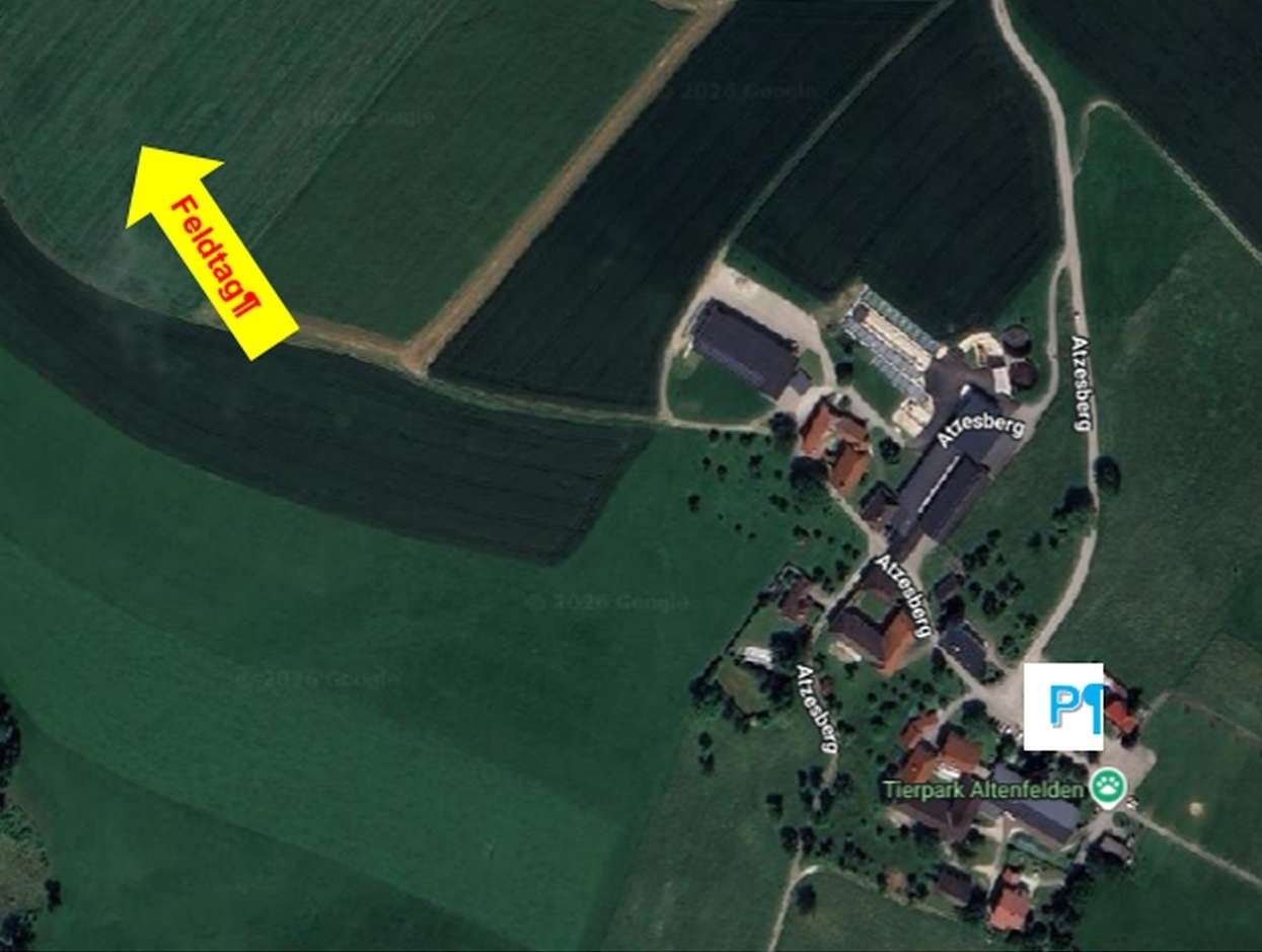 Feldtag_Hacktechniken bei Silomais.jpg © BWSB