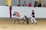 06_Ponyvielfalt_02.jpg © Pferd Austria