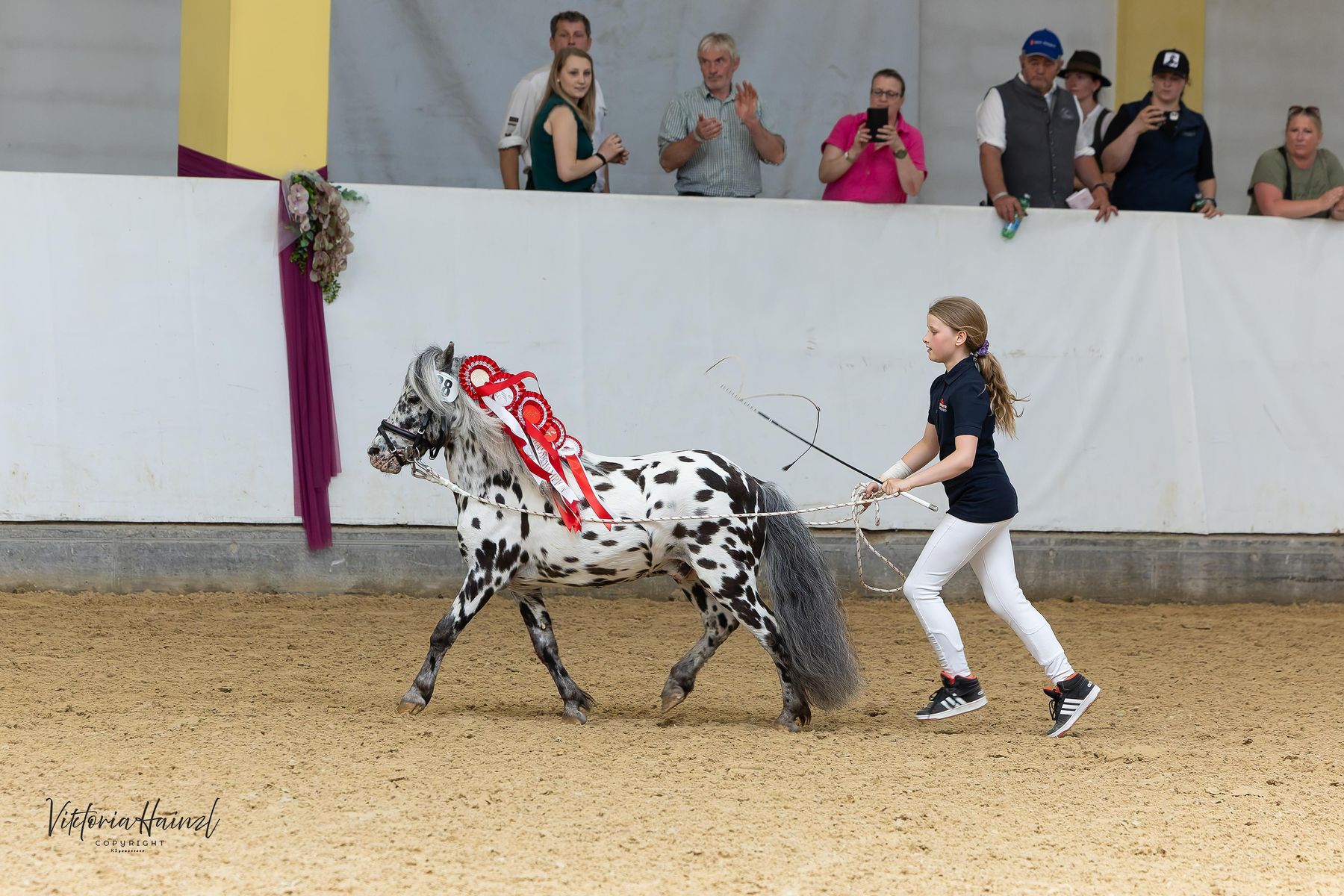 06_Ponyvielfalt_02.jpg © Pferd Austria
