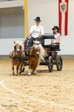 10_Ponys vor der Kutsche_04.jpg © Pferd Austria