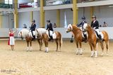 16_Haflinger Dressurquadrille_02.jpg © Pferd Austria