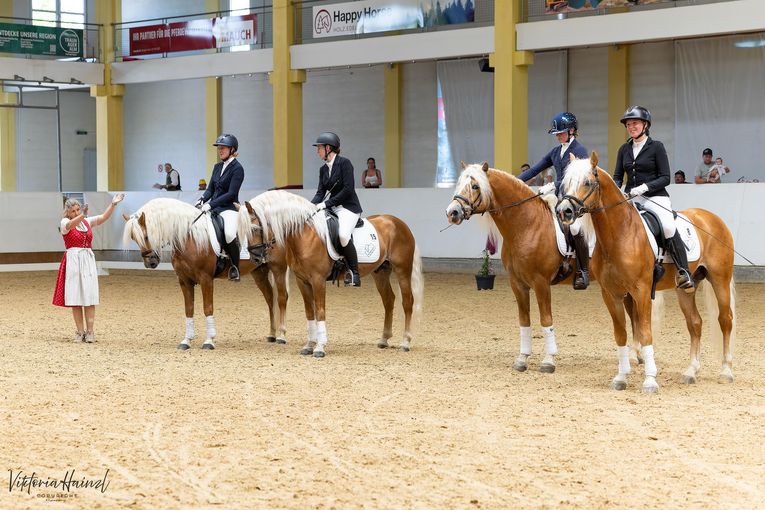 16_Haflinger Dressurquadrille_02.jpg © Pferd Austria