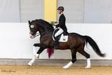 21_Hochprämierte Dressur_01.jpg © Pferd Austria