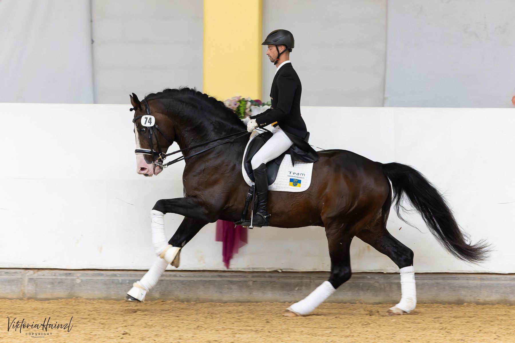 21_Hochprämierte Dressur_01.jpg © Pferd Austria