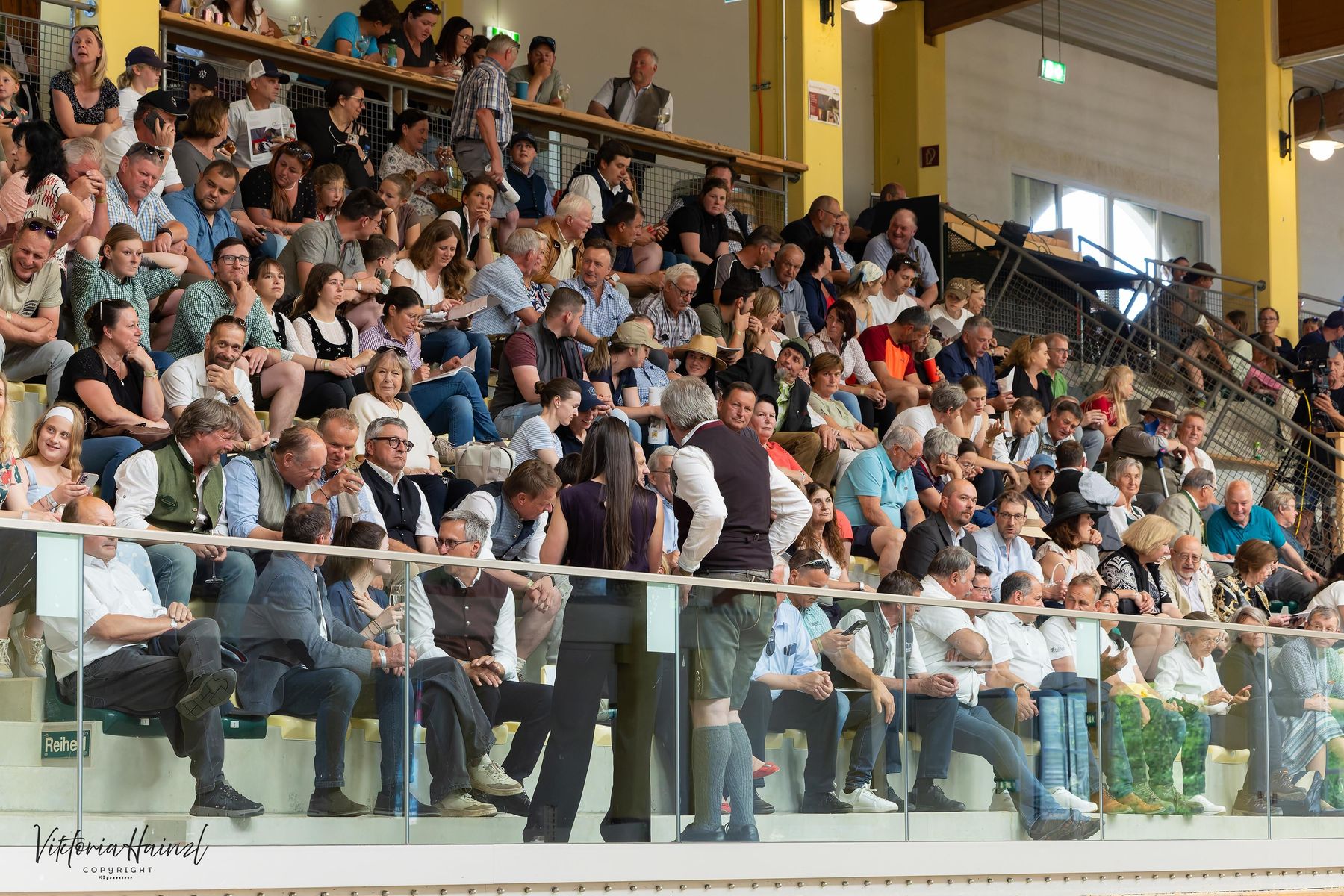 Tribüne_02.jpg © Pferd Austria