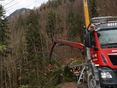 Feinerschliessung_Forst_Holzrücken mit Seilkran © Paula Pöchlauer-Kozel/LK Niederösterreich