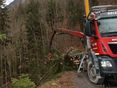 Feinerschliessung_Forst_Holzrücken mit Seilkran © Paula Pöchlauer-Kozel/LK Niederösterreich