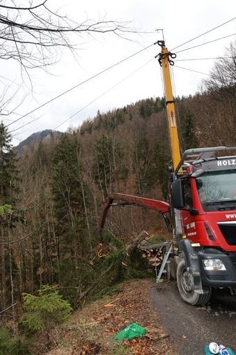 Feinerschliessung_Forst_Holzrücken mit Seilkran.jpg © Paula Pöchlauer-Kozel/LK Niederösterreich