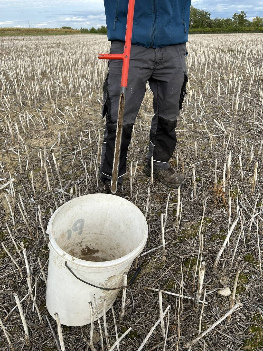 Bodenprobe gezogen_Bodenprobenstecher_HeidererKatharina.jpg © DI Heiderer