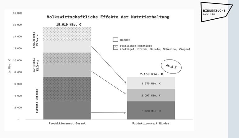 Volkswirtschaftliche-Effekte-der-Rinderhaltung.jpg © Rinderzucht Austria
