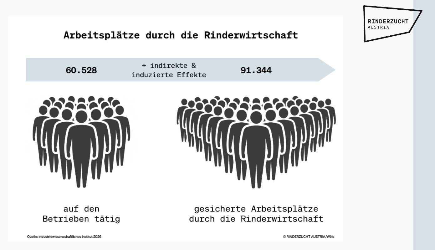 Rinderwirtschaft-Arbeitsplätze.jpg © Industriewissenschaftliches Institut