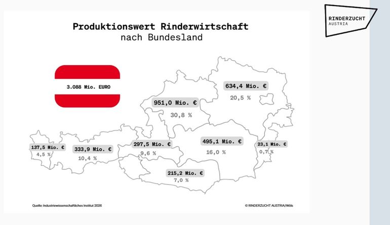 Produktionswert-Rinderwirtschaft-Bundesländer.jpg © Industriewissenschaftliches Institut
