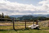 © LK Steiermark-Fuchs