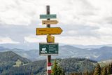 © LK Steiermark-Fuchs