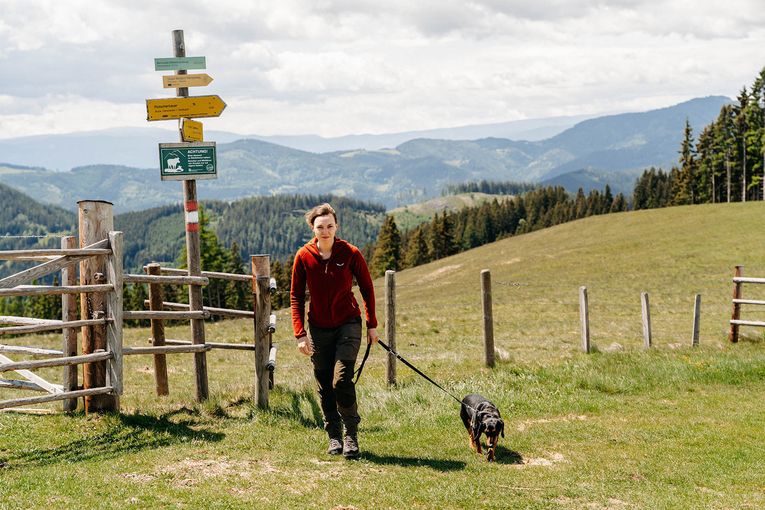© LK Steiermark-Fuchs