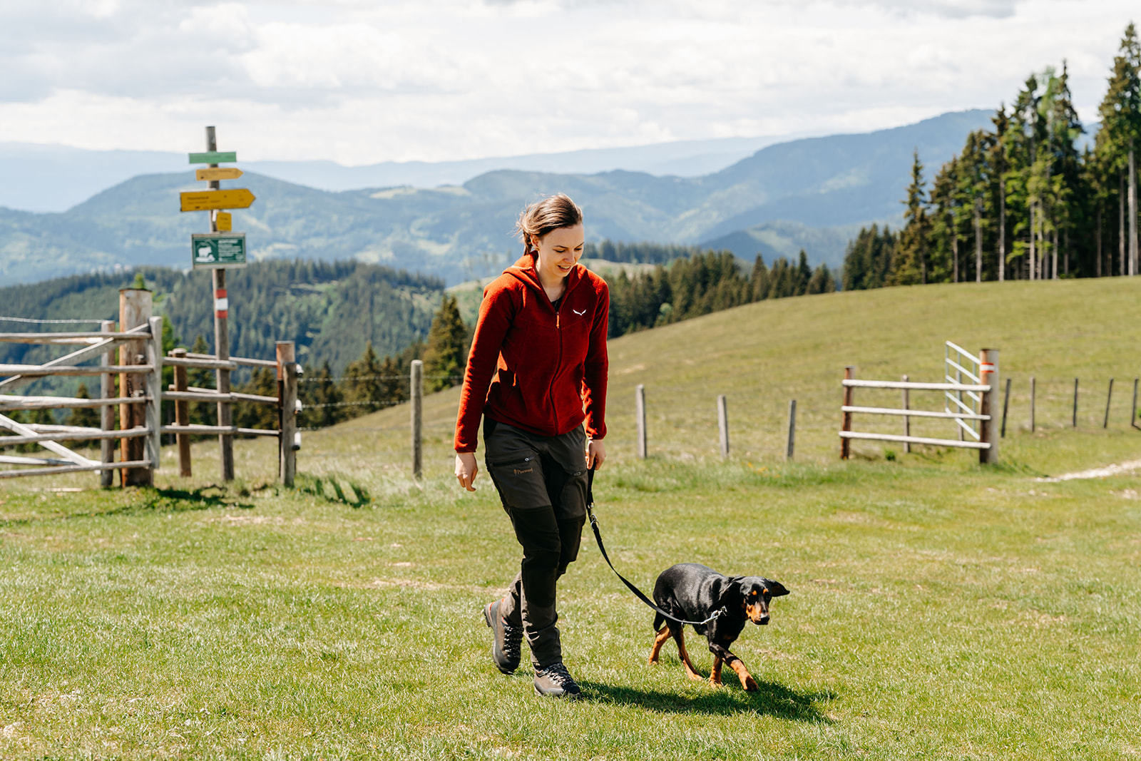 © LK Steiermark-Fuchs