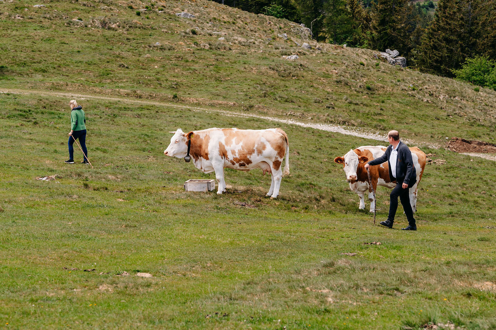 © LK Steiermark-Fuchs