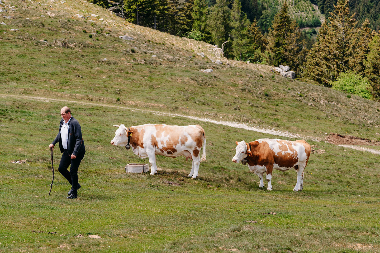 © LK Steiermark-Fuchs