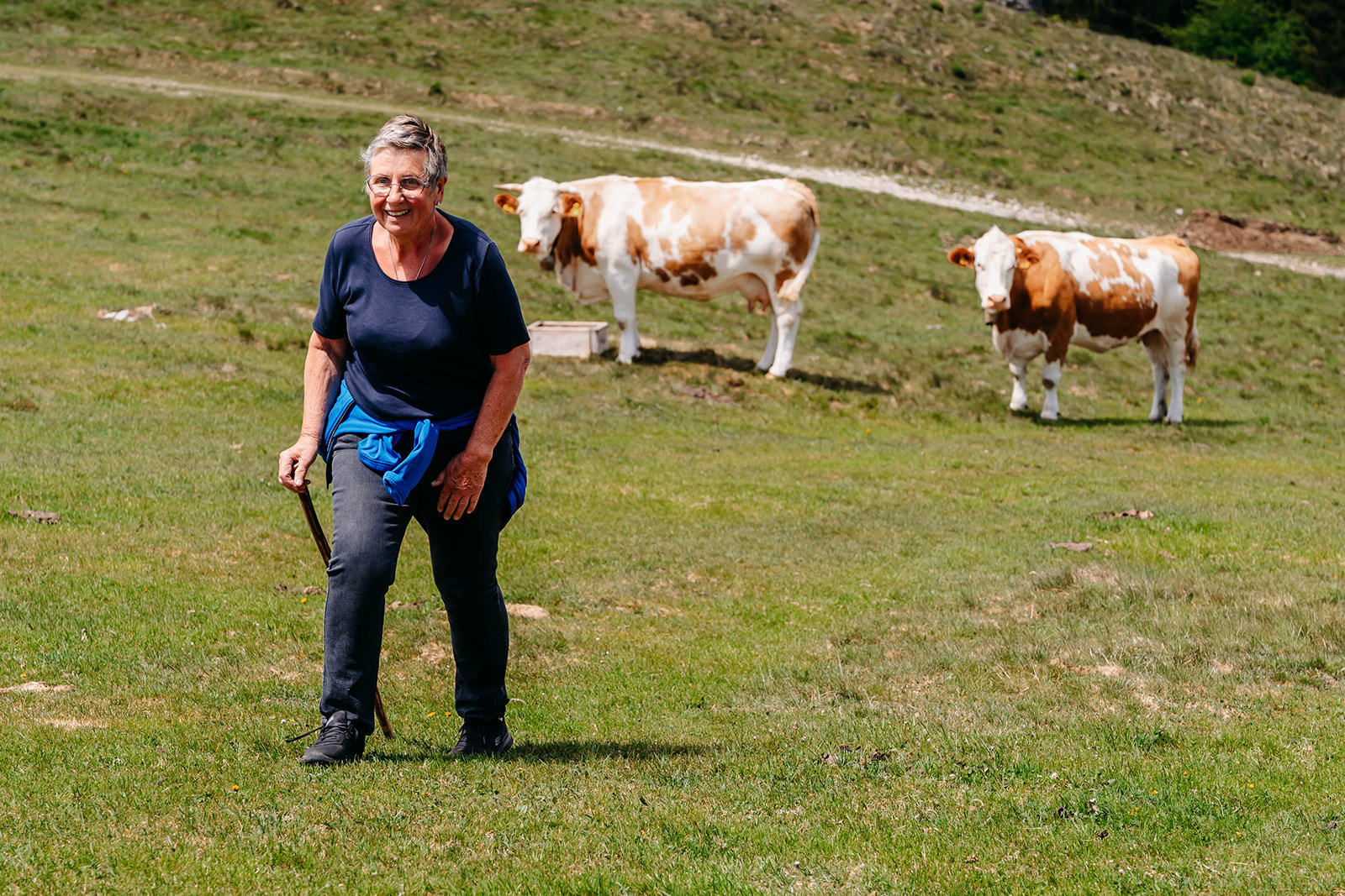 © LK Steiermark-Fuchs