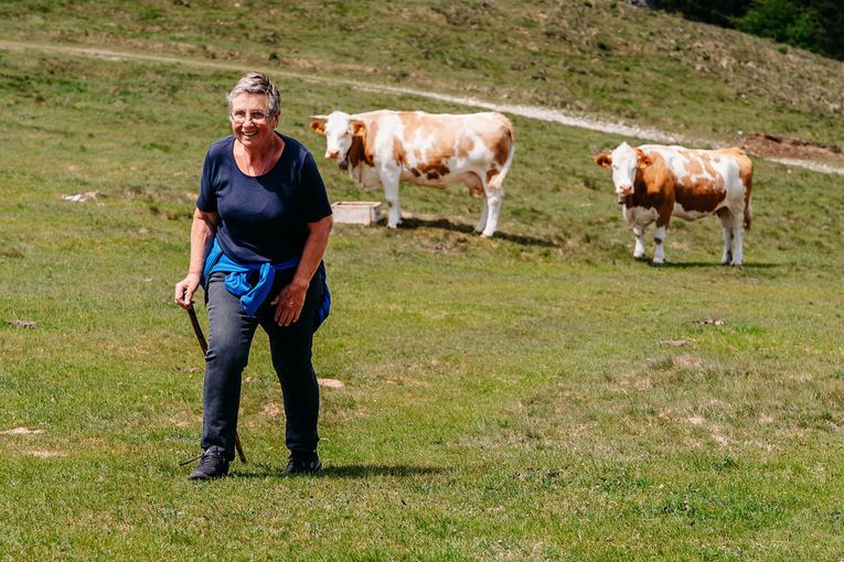© LK Steiermark-Fuchs