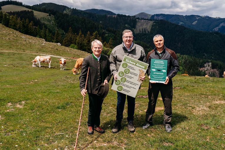 © LK Steiermark-Fuchs