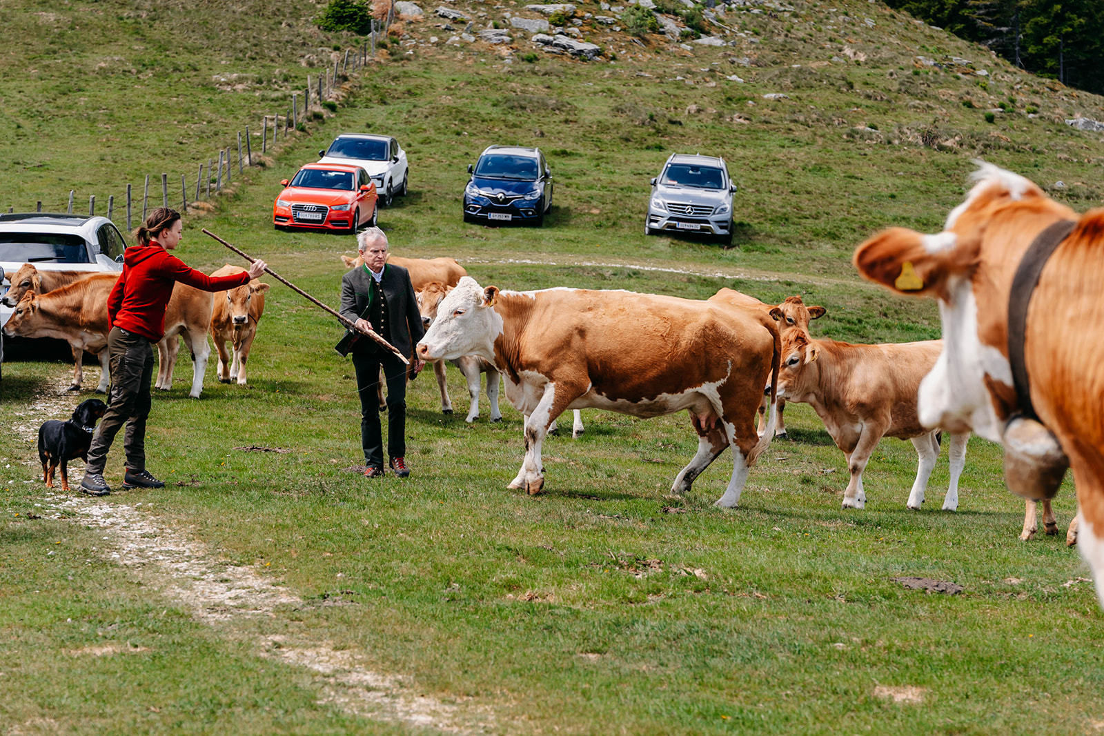 © LK Steiermark-Fuchs