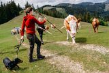© LK Steiermark-Fuchs