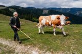 © LK Steiermark-Fuchs