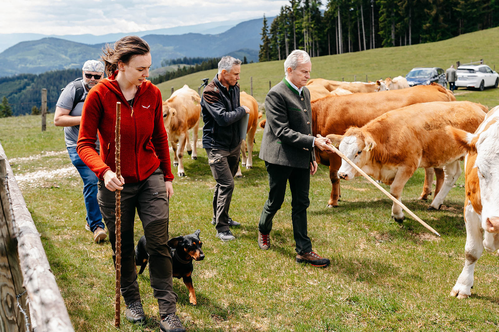 © LK Steiermark-Fuchs