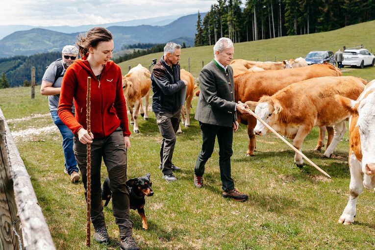 © LK Steiermark-Fuchs