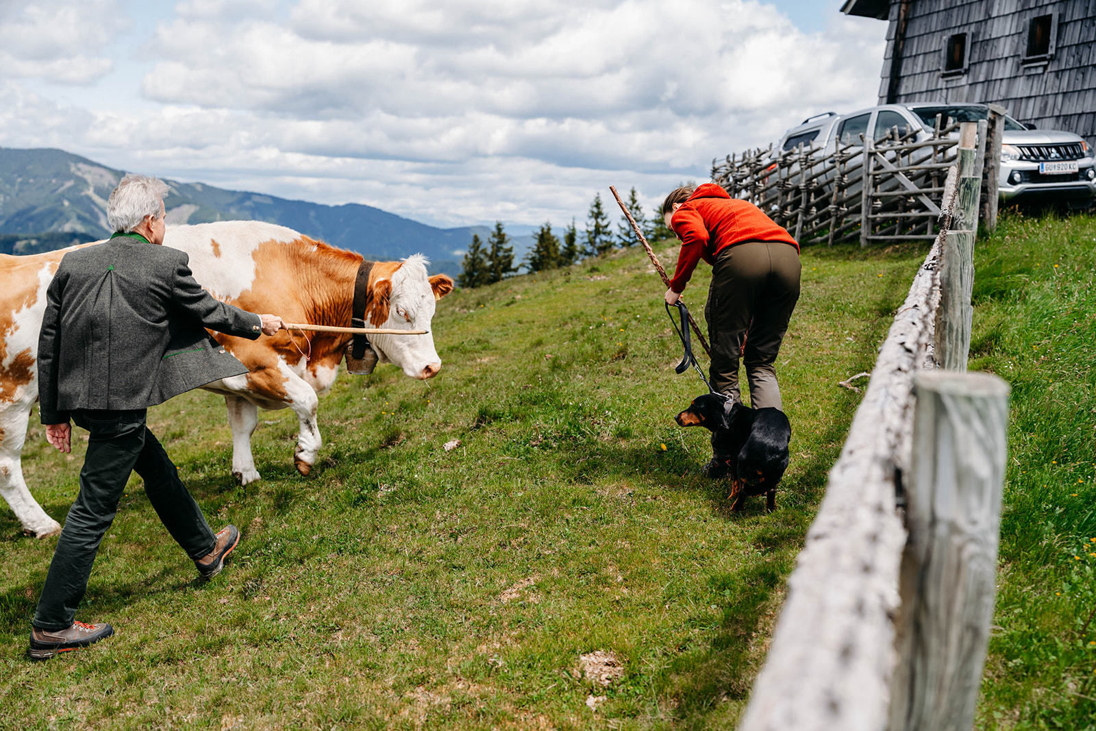© LK Steiermark-Fuchs