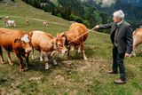 © LK Steiermark-Fuchs