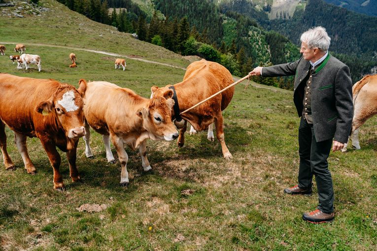 © LK Steiermark-Fuchs