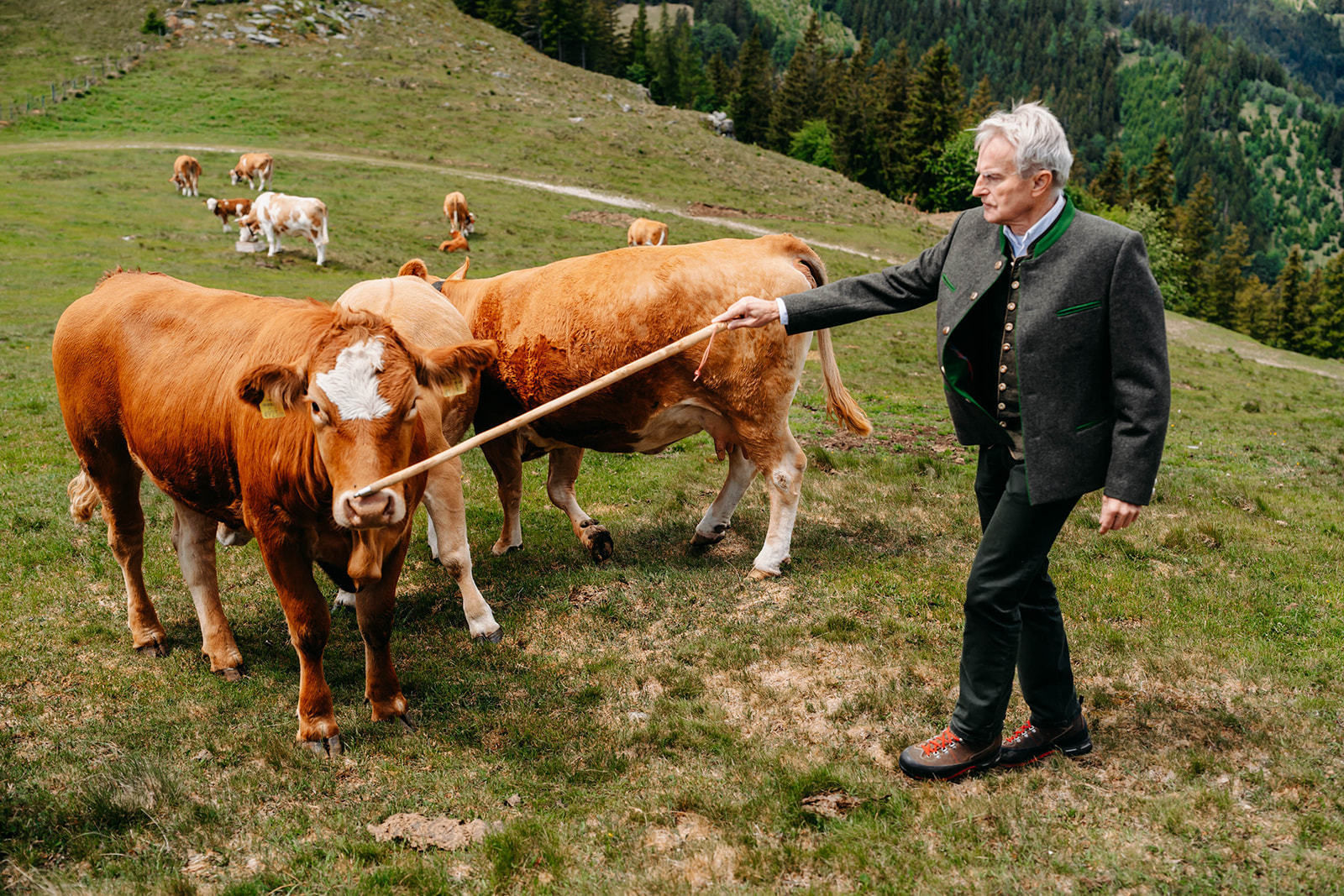 © LK Steiermark-Fuchs
