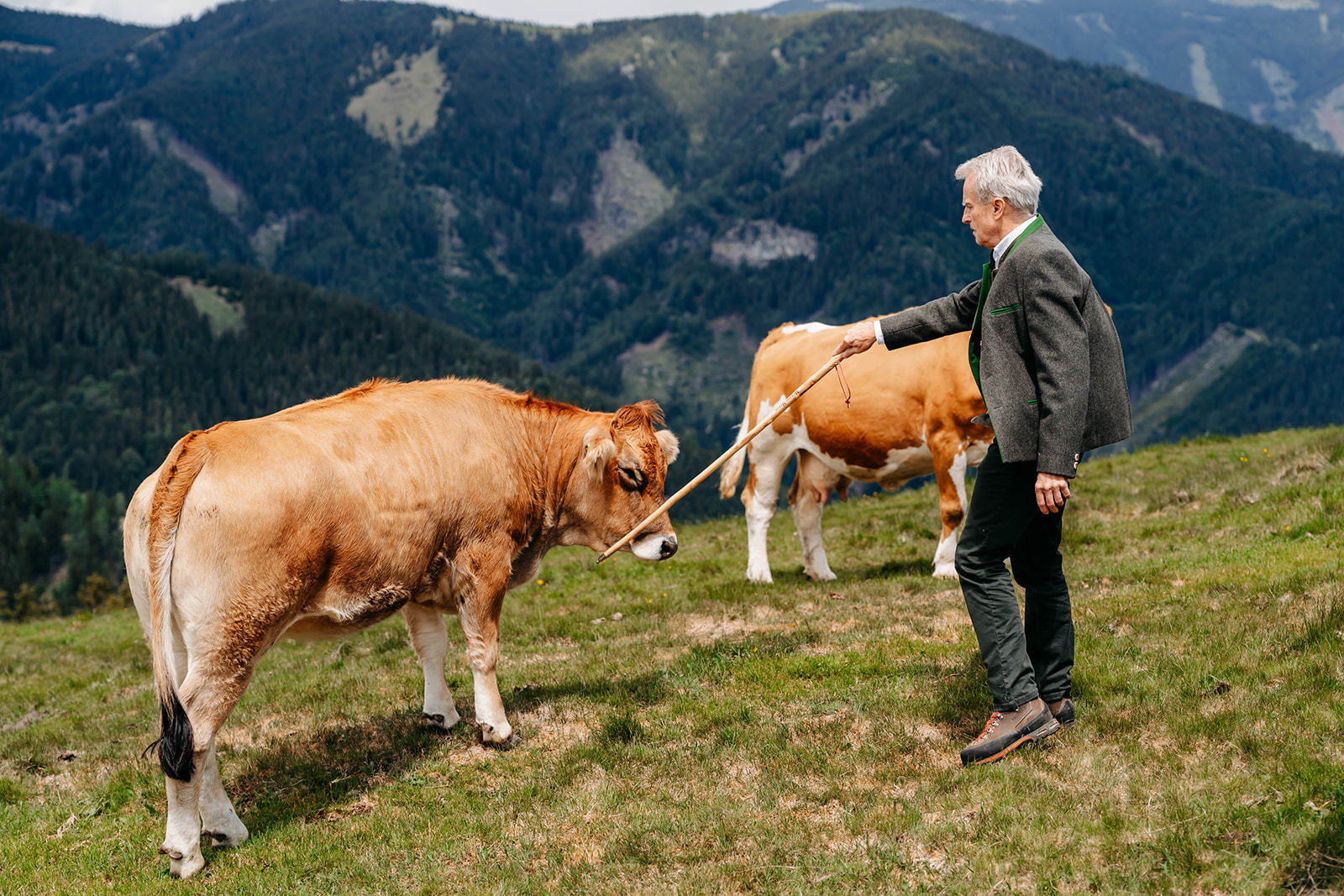 © LK Steiermark-Fuchs