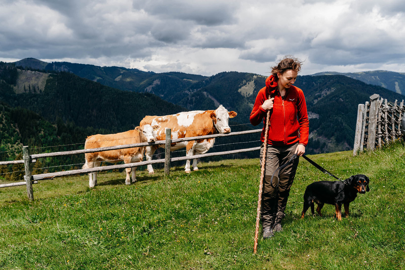 © LK Steiermark-Fuchs