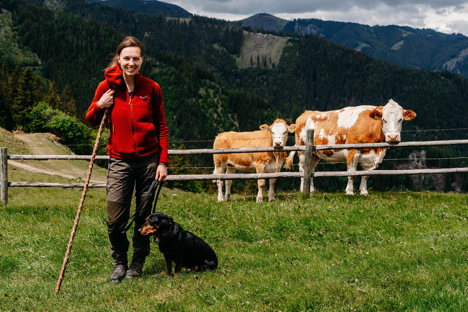 © LK Steiermark-Fuchs