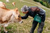© LK Steiermark-Fuchs