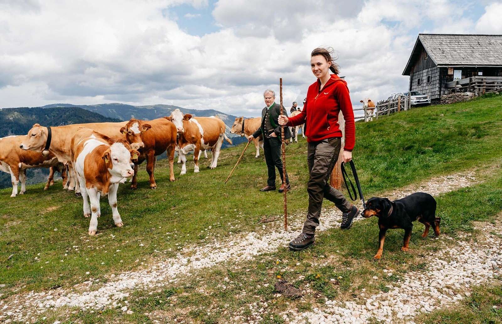 Sicherer Umgang mit Weidetieren 4.jpg © LK Steiermark/Fuchs