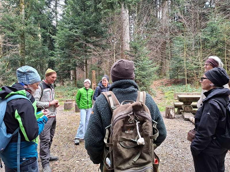 Waldspaziergänge für Frauen.jpg © Syvia Rickmann