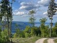 Nach Erschließung der Waldflächen  wird im familieneigenen Forstbetrieb  mit Plan gearbeitet. © Zopf