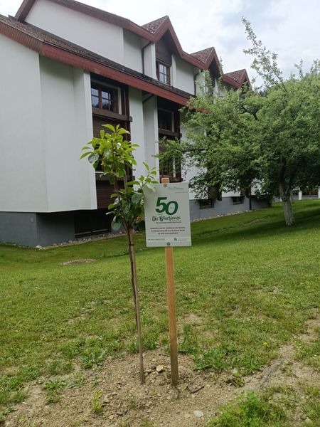 Weltmilchtag LFS Warth  ©&nbsp;Die Bäuerinnen im Bezirk Neunkirchen 