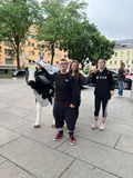 © LK Kärnten/Pesentheiner