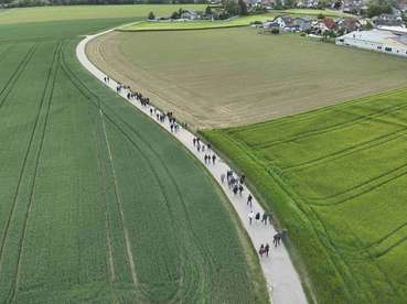 FElderbegehung 3.jpg © LK Kärnten/Graf