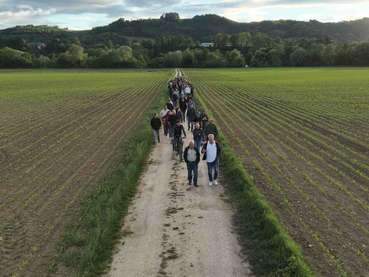 Felderbegehung@Graf_LK Kärnten.jpg © LK Kärnten/Graf