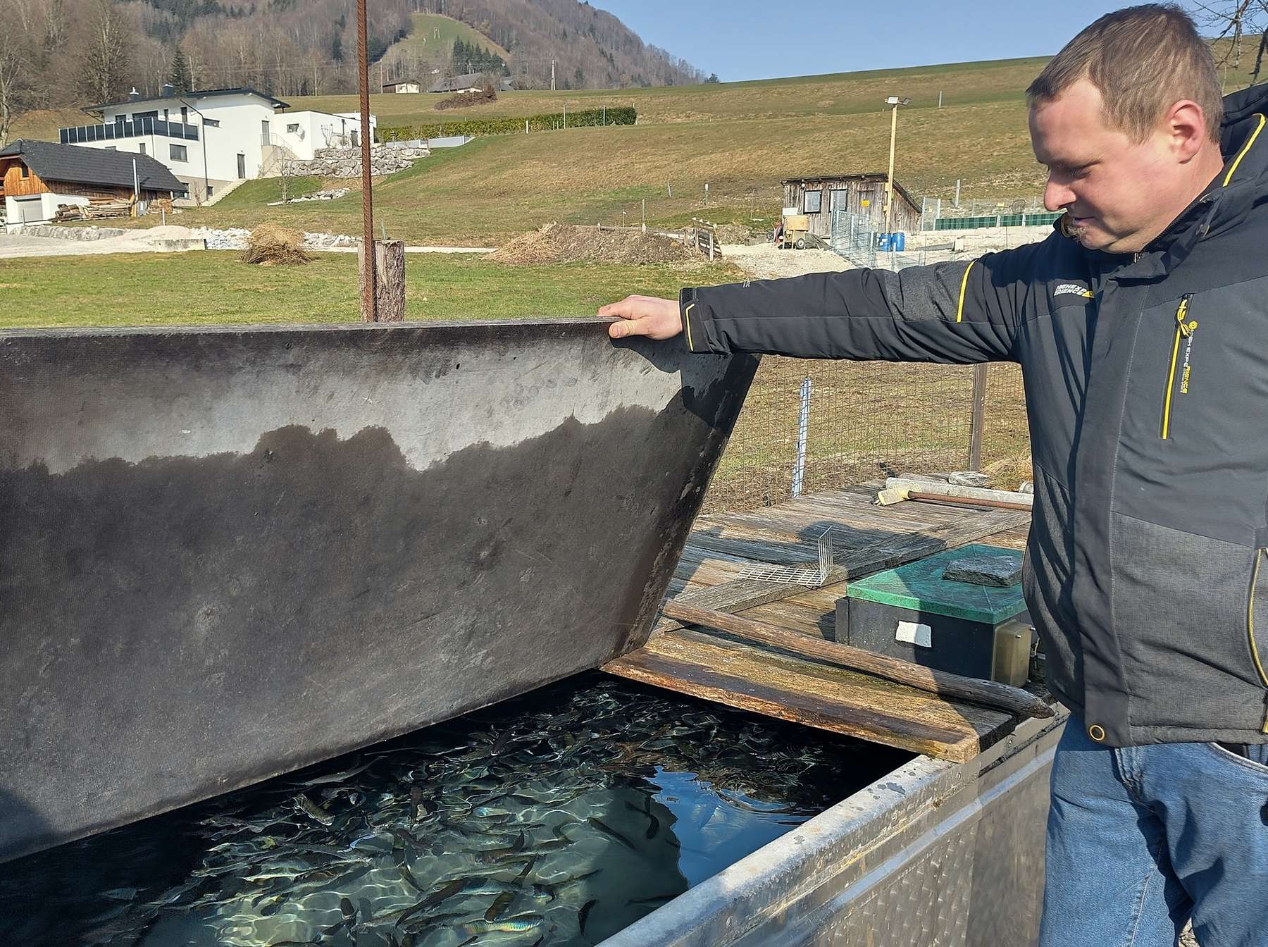 Martin Bergthaler überprüft das Wohlergehen der Fische im Vorstreckbecken © Benedikt Berger, Archiv Aqua.jpg © Benedikt Berger/Archiv Aqua