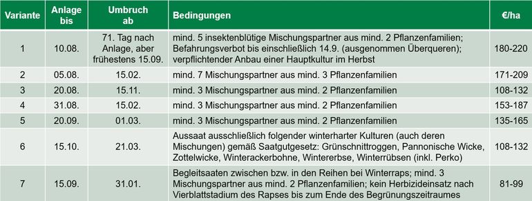 Begrünungsvarianten im Überblick.jpg © LK OÖ/Mandl