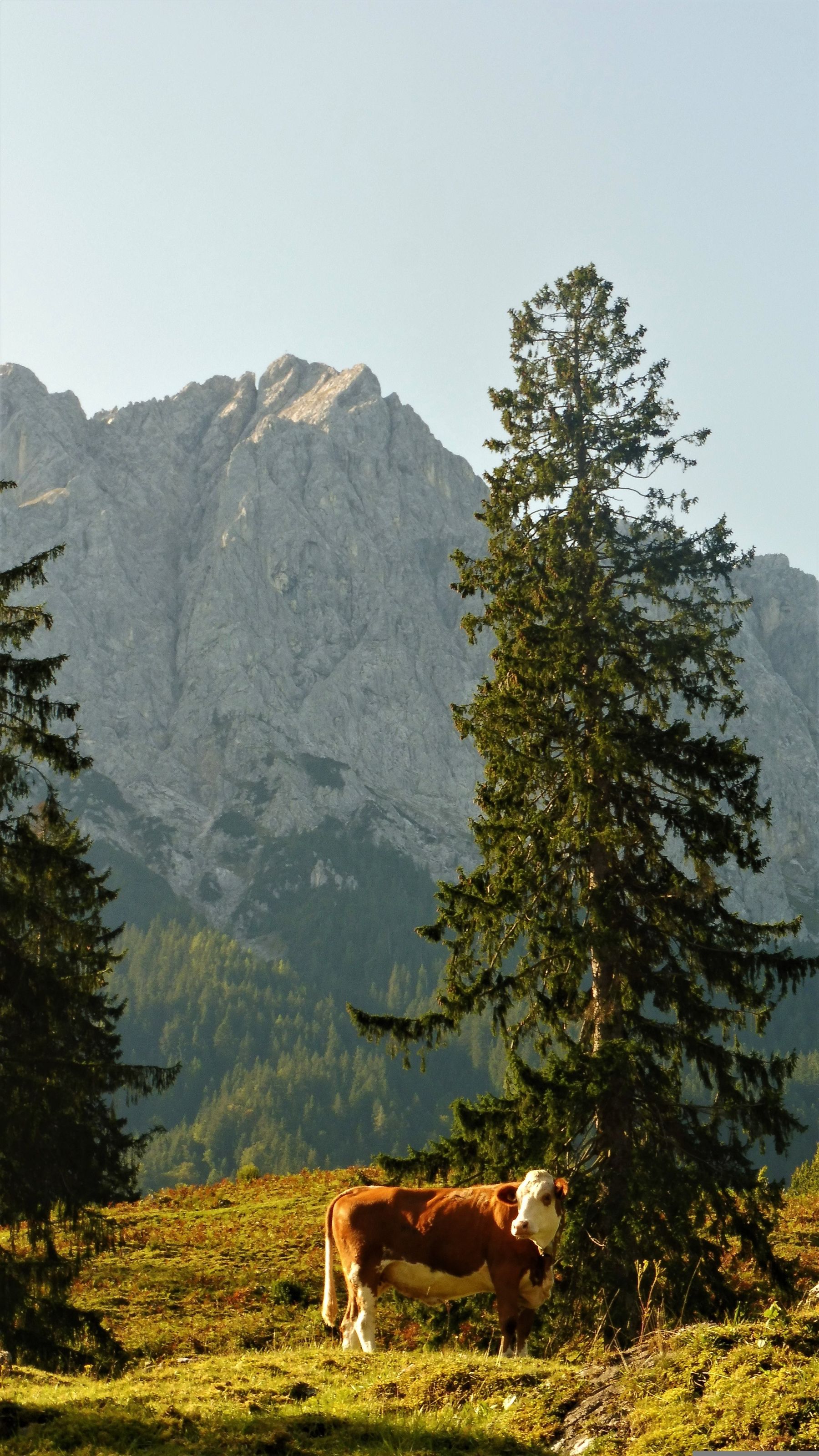 lillydes-mountains-5125237.jpg © Image by Lillydes from Pixabay