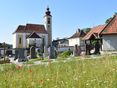 Blühender Friedhof © Bienenzentrum OÖ